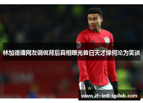 林加德遭网友调侃背后真相曝光昔日天才缘何沦为笑谈 林加德遭网友调侃背后真相曝光昔日天才缘何沦为笑谈