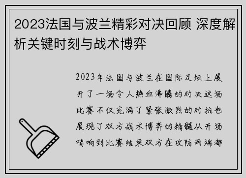 2023法国与波兰精彩对决回顾 深度解析关键时刻与战术博弈